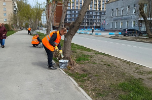 Заботимся о Дзержинском районе вместе!
