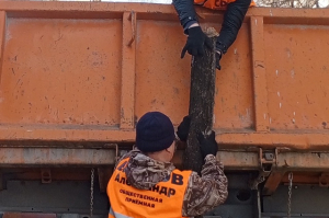 Мы провели уборку во дворах