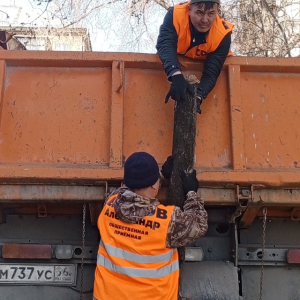 Мы провели уборку во дворах Мы провели уборку во дворах