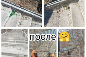 Порядок возле дома № 31 по улице Толбухина. 